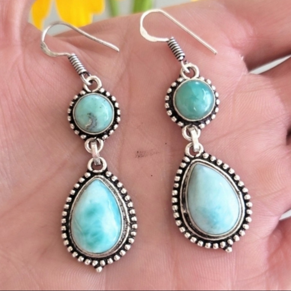 Chic Silver and Turquoise Drop Earrings
